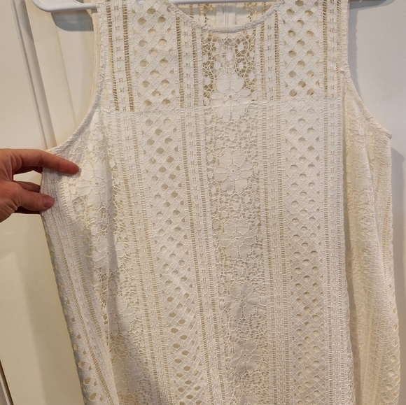 Cupcakes and Cashmere Luca Lace Dress Size Medium - Picture 2 of 9